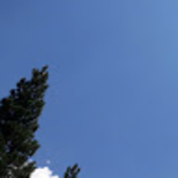 Meet your Posher, Rey - Picture 1 of 1